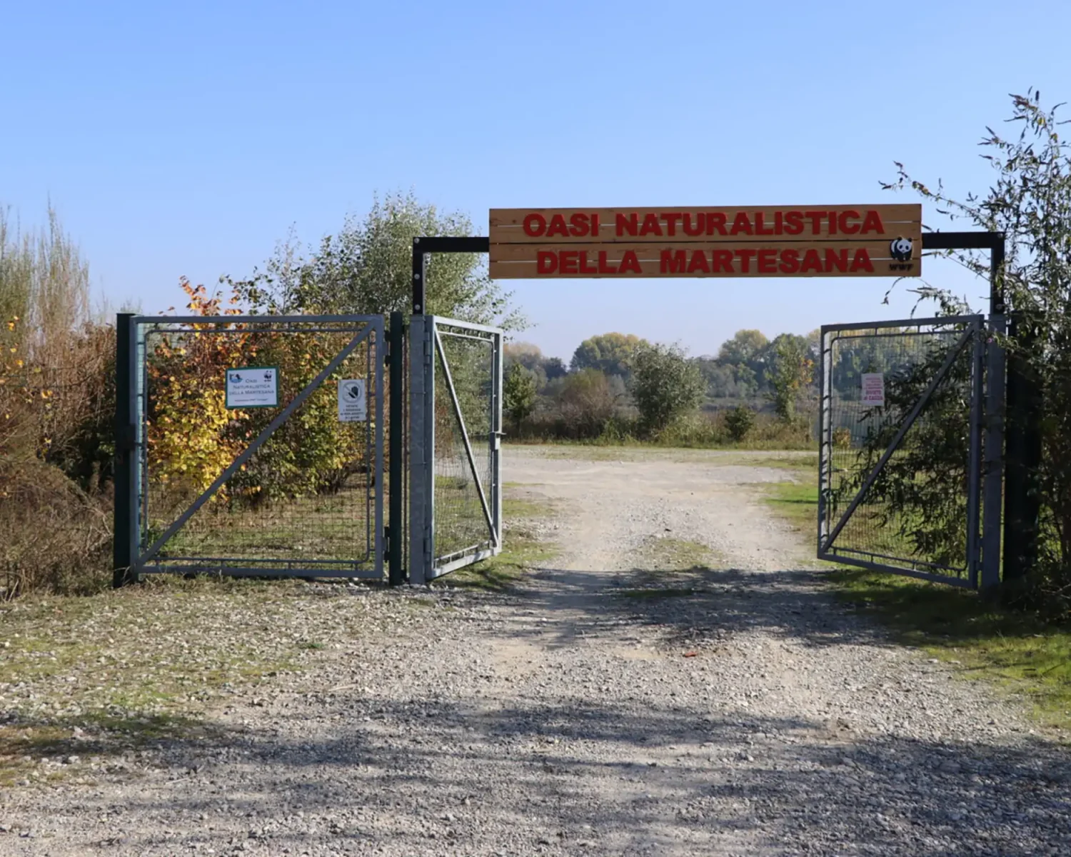 oasi42